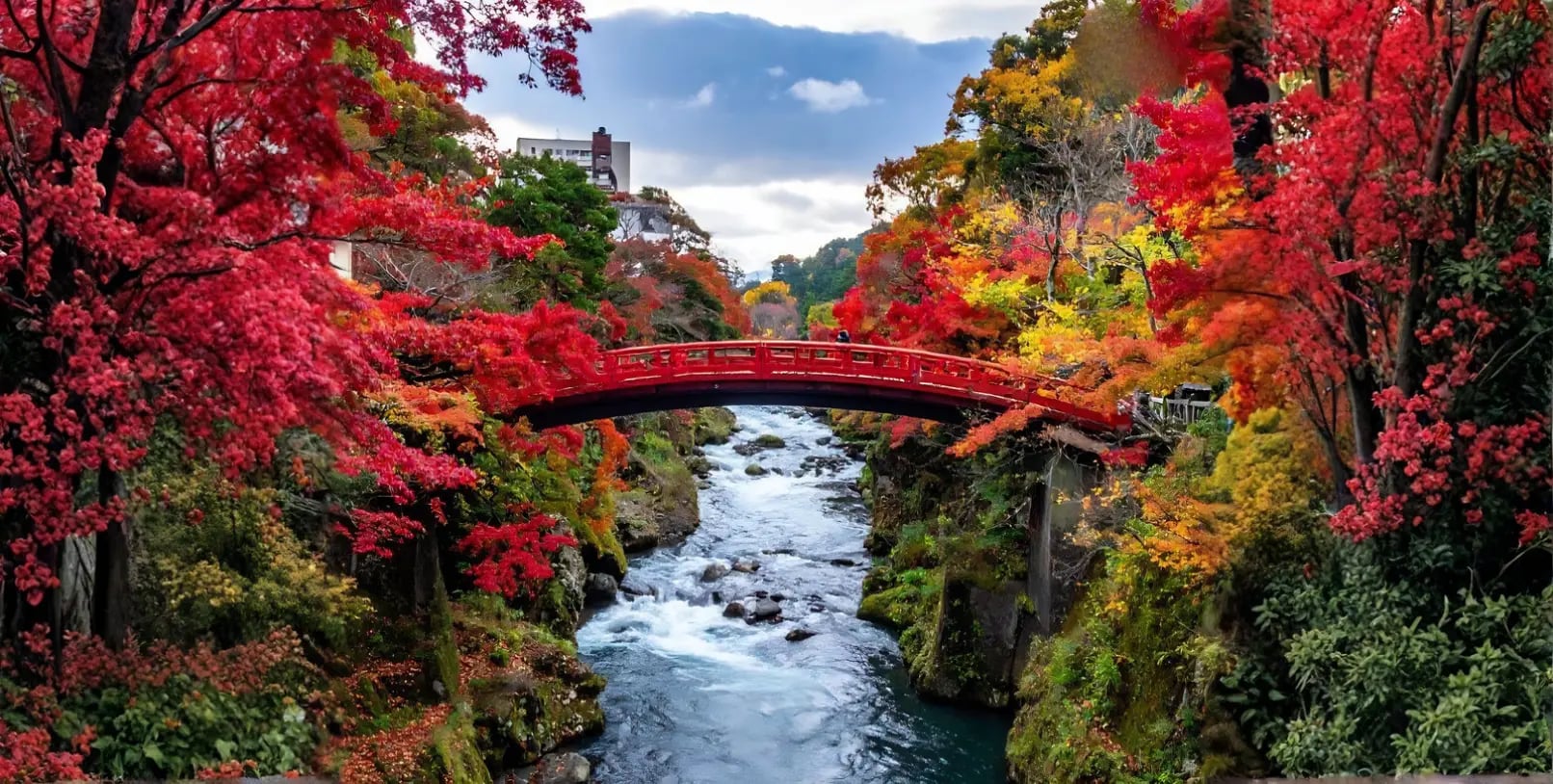 Sacred Shinkyo Bridge over Daiya River in Nikko surrounded by autumn colors