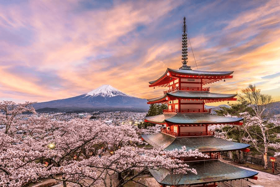 Cherry Blossom Season Japan 2026: Dates & Best Spots photo 5