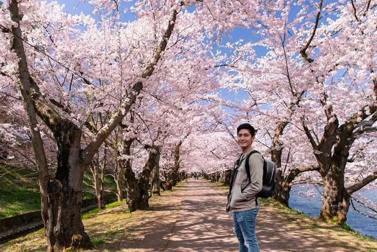 Cherry Blossom Season Japan 2026: Dates & Best Spots
