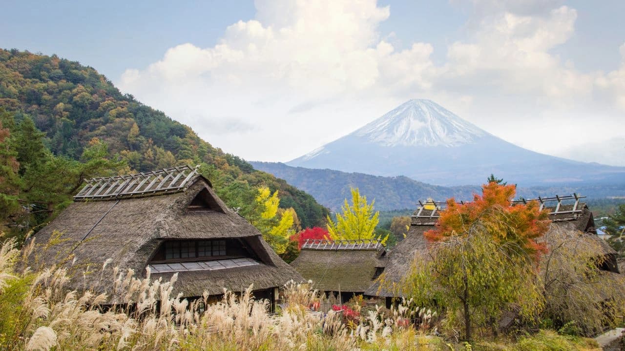 Mount Fuji & Gotemba Outlet Full-Day Private Car Tour image 8 Mount Fuji & Gotemba Outlet Full-Day Private Car Tour image 8