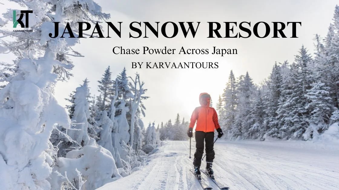 Private Snow Resort Tours from Tokyo to Niigata & Tochigi Ski Resorts Private Snow Resort Tours from Tokyo to Niigata & Tochigi Ski Resorts