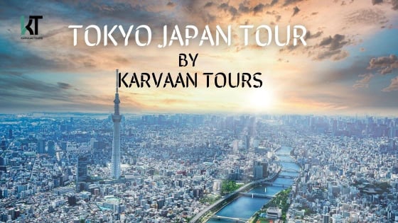 Tokyo Private Full-Day Tour by Car with Hotel Pick-Up