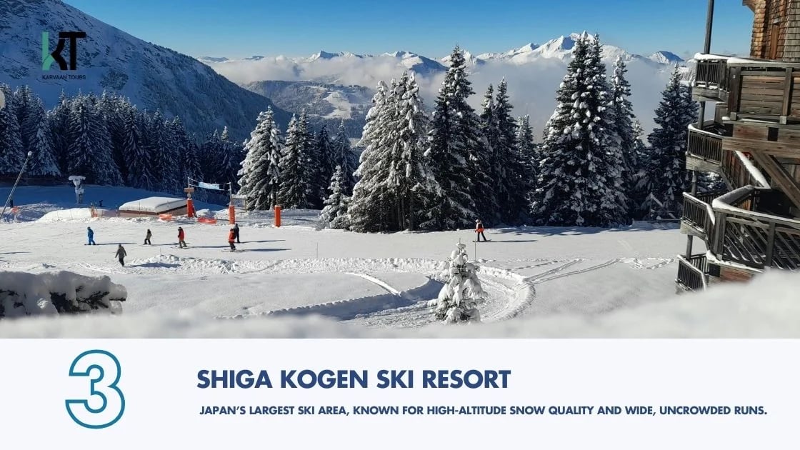 Private Snow Tours from Tokyo to Nagano & Gunma | Top Ski Resorts image 4 Private Snow Tours from Tokyo to Nagano & Gunma | Top Ski Resorts image 4