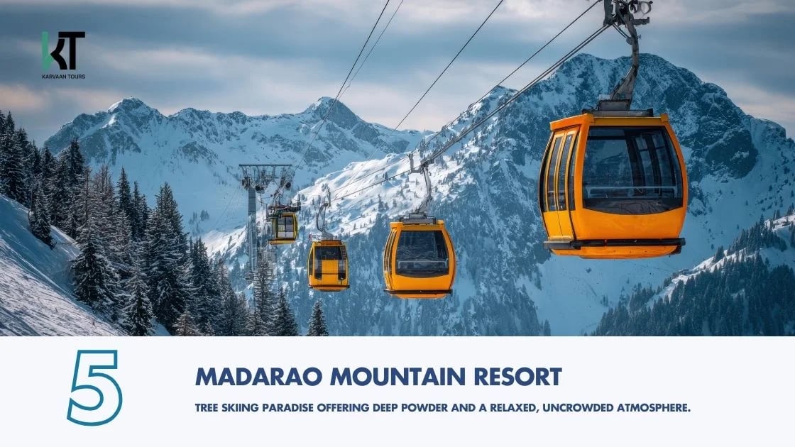 Private Snow Tours from Tokyo to Nagano & Gunma | Top Ski Resorts image 6 Private Snow Tours from Tokyo to Nagano & Gunma | Top Ski Resorts image 6