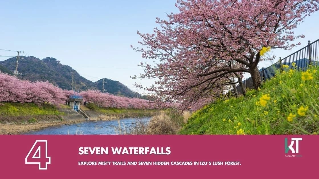 Kawazu Cherry Blossom Festival Tour | Private Transport & Scenic Sakura Views image 5 Kawazu Cherry Blossom Festival Tour | Private Transport & Scenic Sakura Views image 5