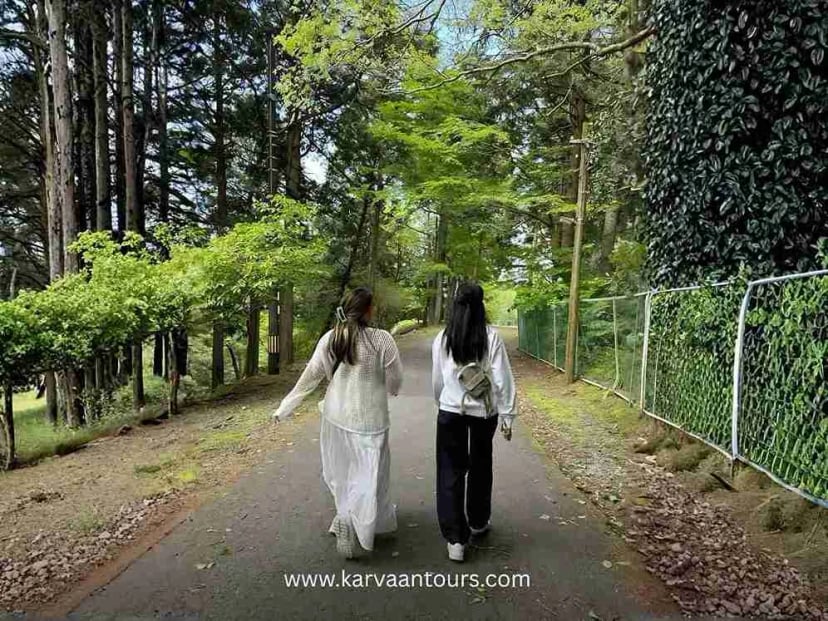 Two visitors walking on a forest path surrounded by trees in Sankeien Garden Yokohama