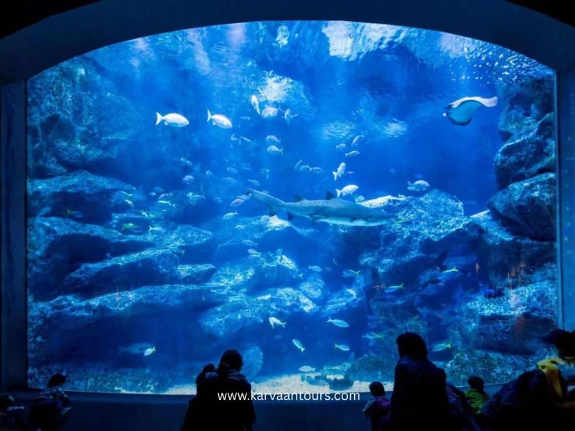 Visitors watching large aquarium tank with sharks and fish at Sumida Aquarium inside Tokyo Skytree Town
