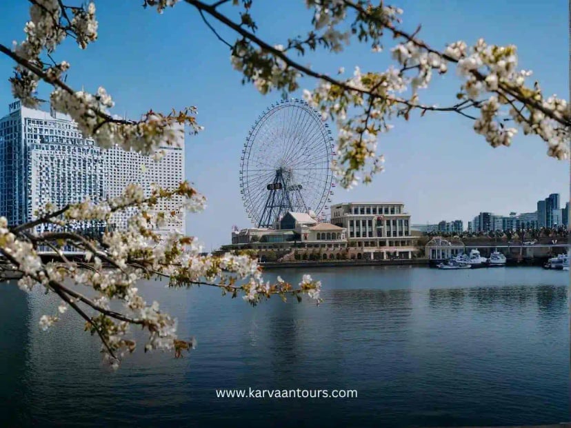 Cherry blossoms framing the Cosmo Clock 21 Ferris wheel along the Minato Mirai waterfront in Yokohama