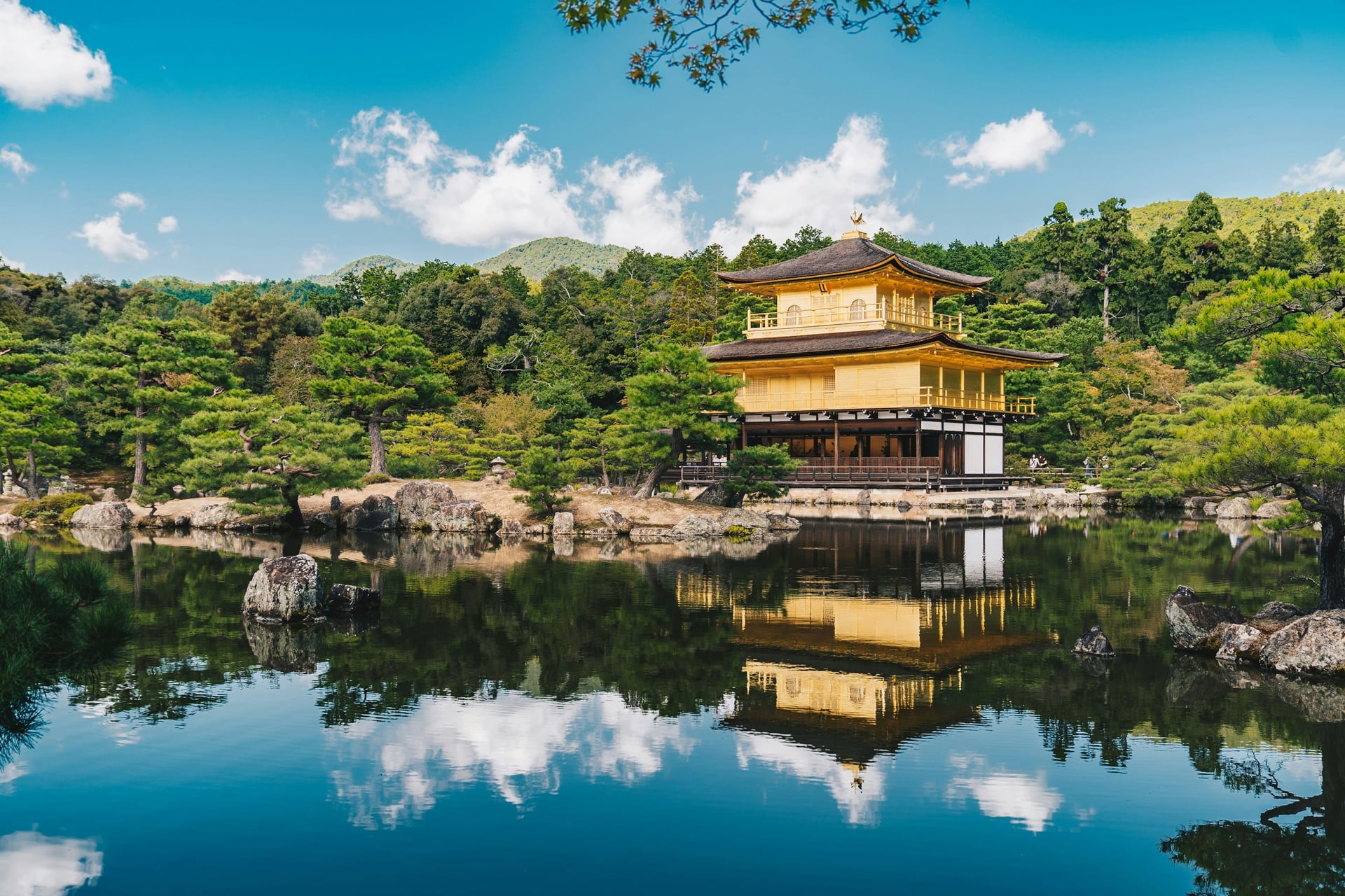 Kyoto & Nara Full-Day Cultural Heritage Tour