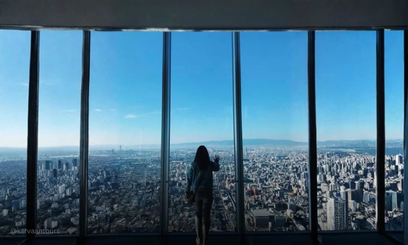 Visitor admiring panoramic Tokyo skyline views from a high-rise observation deck in Shinjuku