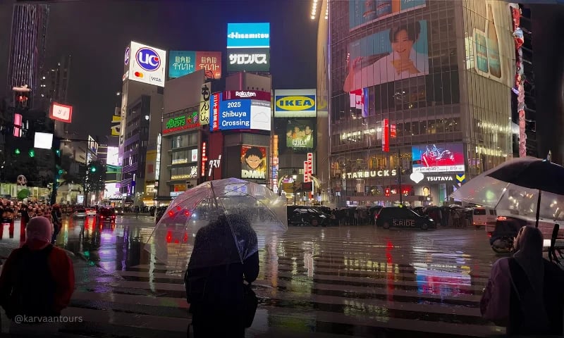 People walking through neon-lit streets in Shinjuku during a rainy evening