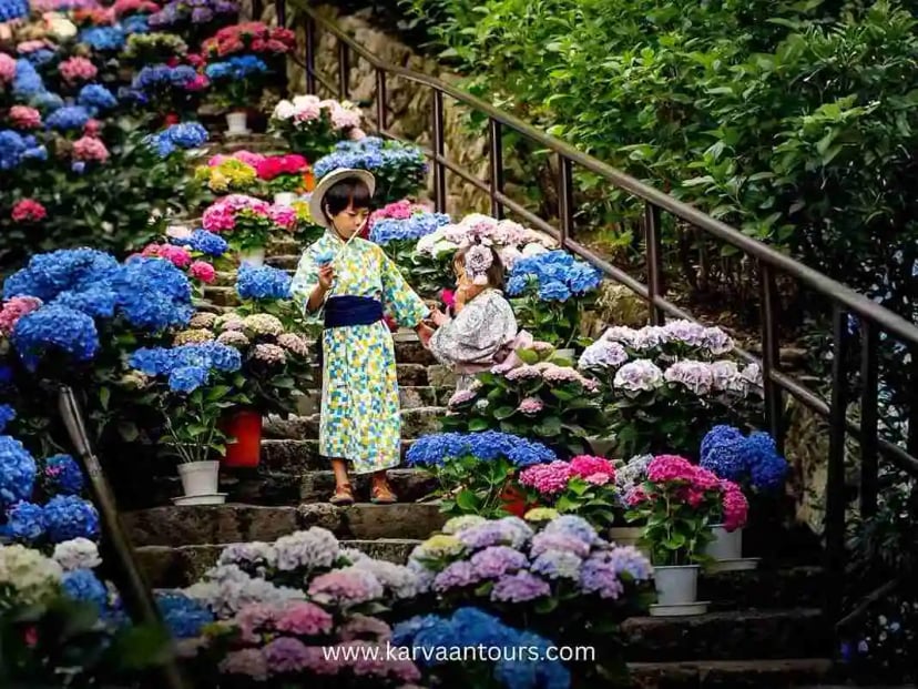 Children in yukata walking through colorful hydrangea-lined stone steps in Japan