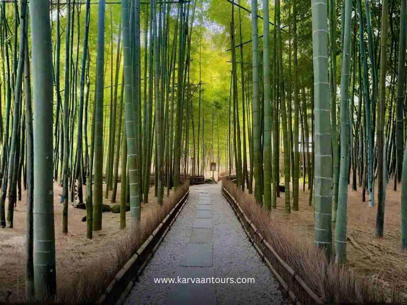 A tranquil, vertical view looking up a narrow, stone-paved pathway winding through the heart of the Hokokuji bamboo forest, with dappled sunlight filtering through the dense canopy above.