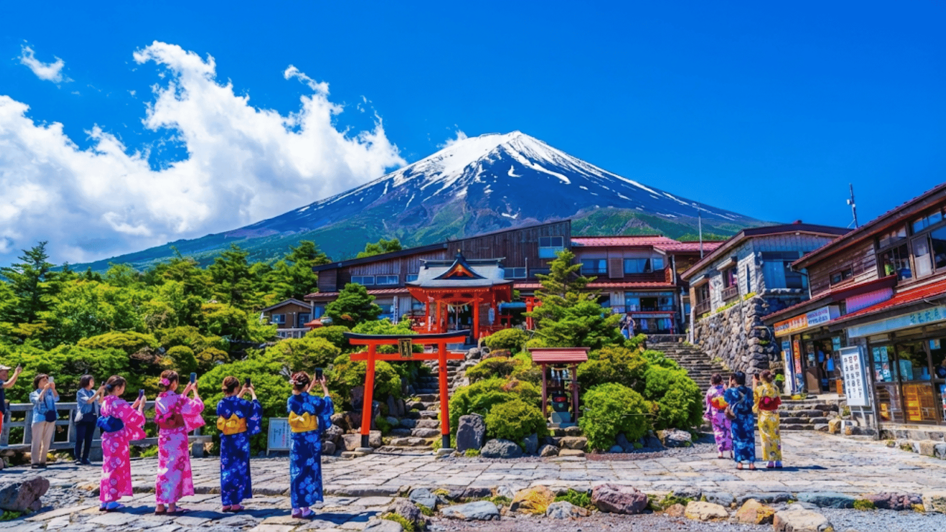 Mount Fuji Private Tour by Car with Pickup — private tour in Japan