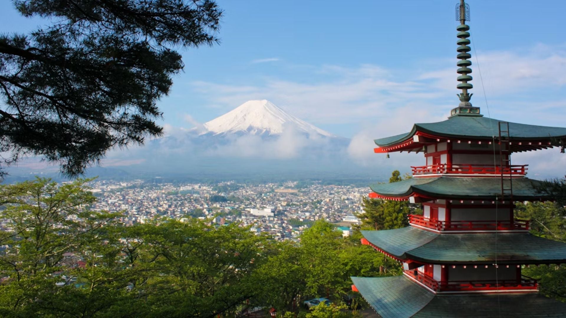 Mount Fuji Private Tour from Tokyo by Car with Hotel Pickup — private tour in Japan