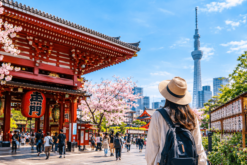 Tokyo private tour itinerary featuring Asakusa Senso-ji Temple and Tokyo Skytree