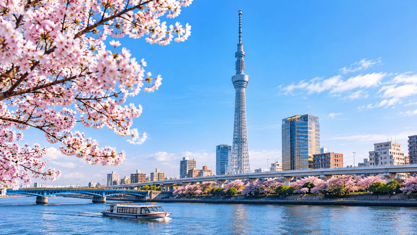 Tokyo Skytree and city skyline on a Tokyo private tour itinerary