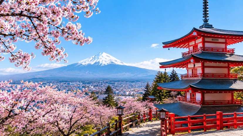 Mount Fuji and Chureito Pagoda day trip from Tokyo itinerary
