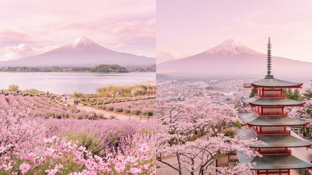 Oishi Park Kawaguchiko Best Mt Fuji Lake Views Guide oishi-park-kawaguchiko-best-mt-fuji-lake-views-guide