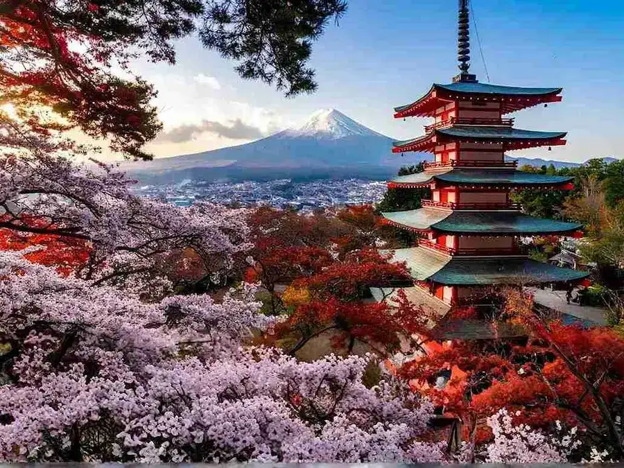 Chureito Pagoda with Mount Fuji and seasonal cherry blossoms or autumn leaves
