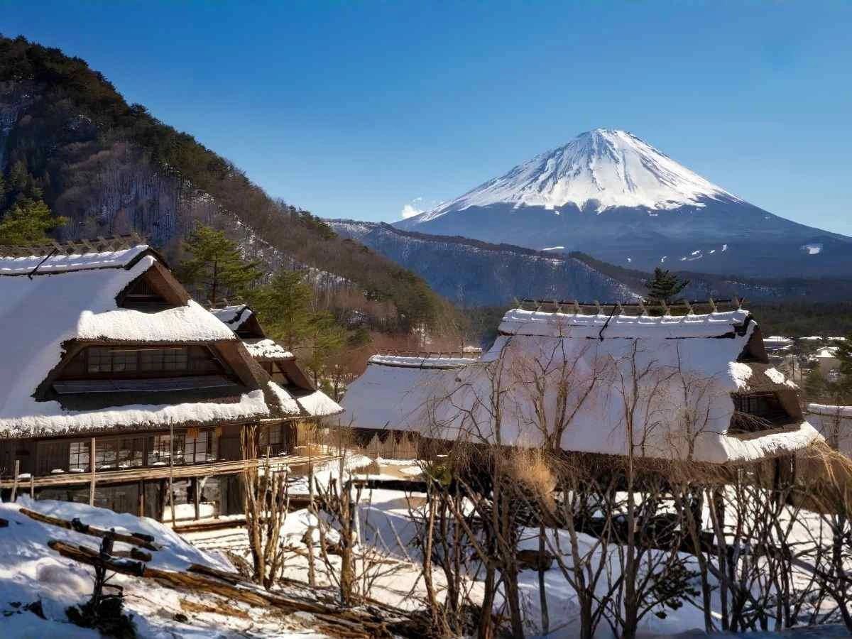 side profile view of mount fuji landscape