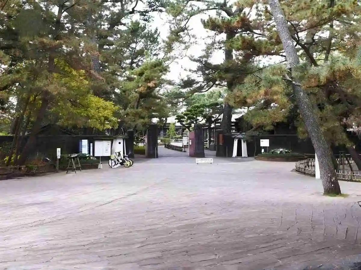 Tall cedar forest pathway leading to temple area in Nikko Japan