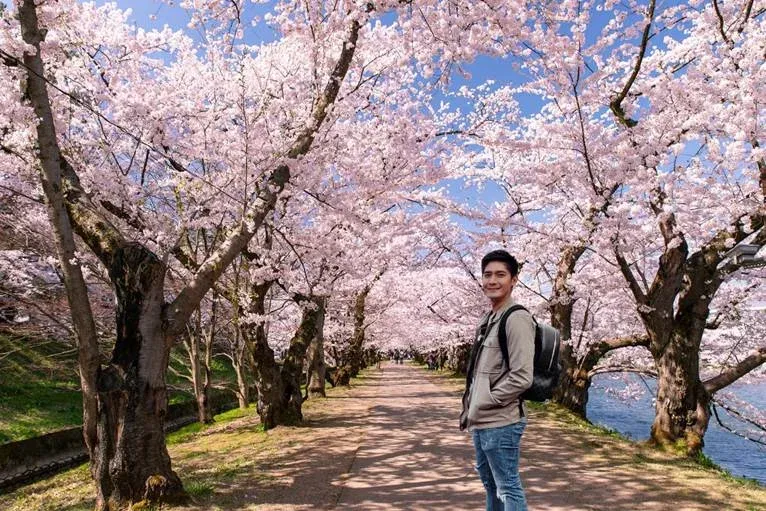 Cherry Blossom Season Japan 2026: Dates & Best Spots