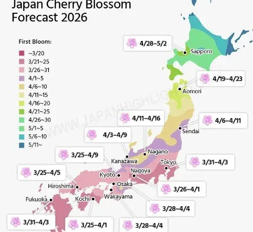 map displaying sakura bloom forecast across japan