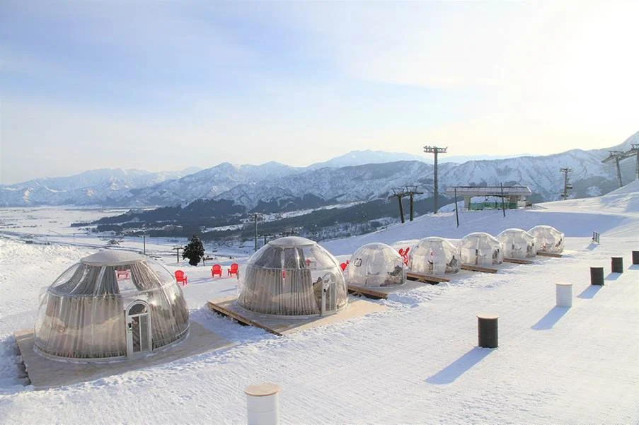 Private snow resort tour from Tokyo to Niigata ski resort Japan winter