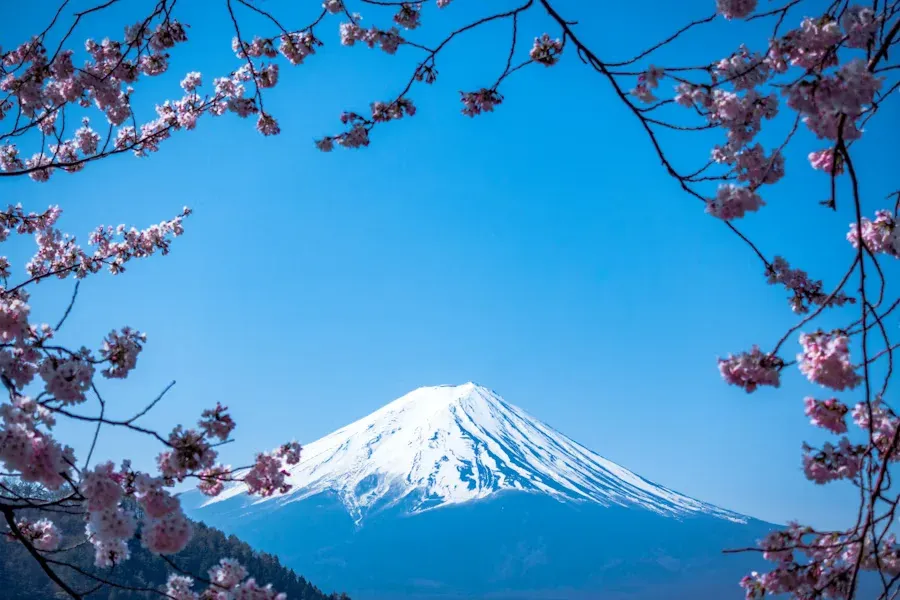Tokyo 3-Day Itinerary: A Practical Guide for First-Time Visitors